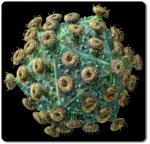 hiv-virus